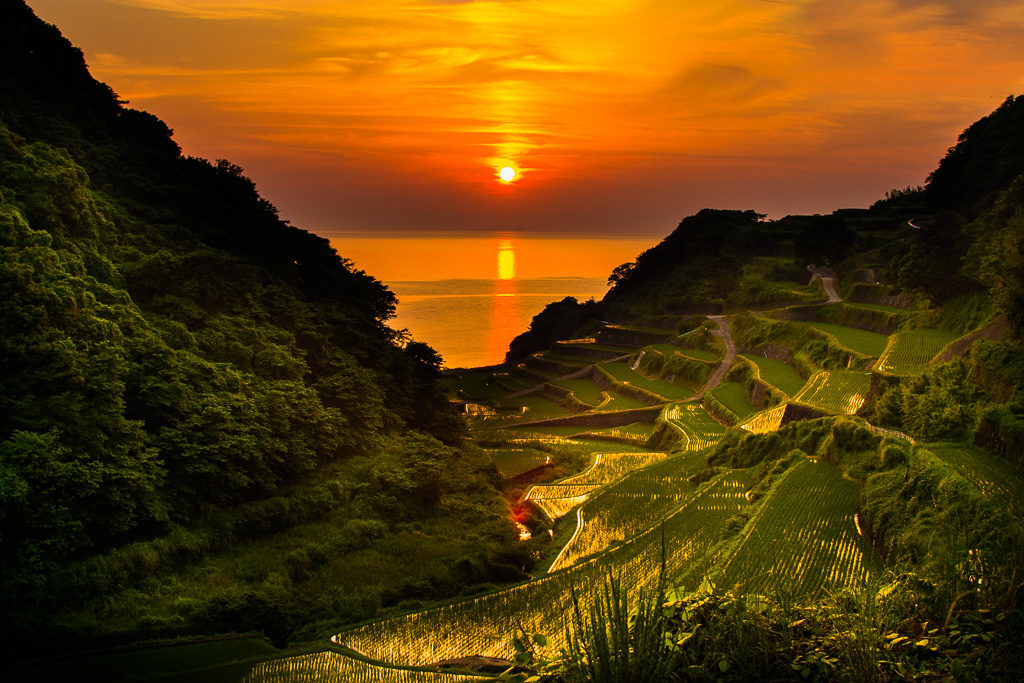 浜野浦の棚田(夕方)1